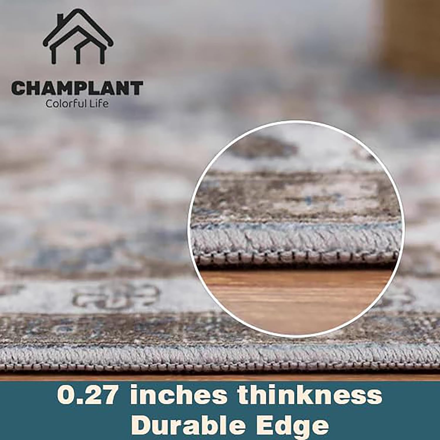 CHAMPLANT Area Rug 6'x9' Washable Vintage Traditional Floor Cover Thin Retro Kitchen Indoor Distressed Non Slip Carpet for Living Room Bedroom Dining Room - Image 3